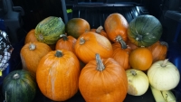 20141030_101235