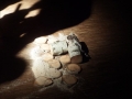 DSCF1223